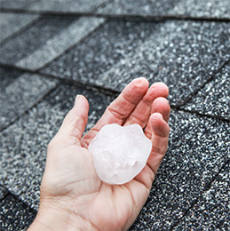 hail in hand